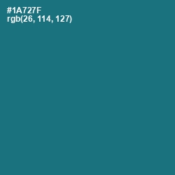 #1A727F - Elm Color Image