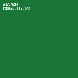 #1A7536 - Fun Green Color Image