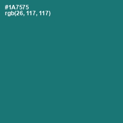 #1A7575 - Elm Color Image