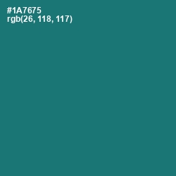 #1A7675 - Elm Color Image