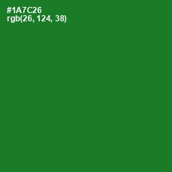 #1A7C26 - Fun Green Color Image