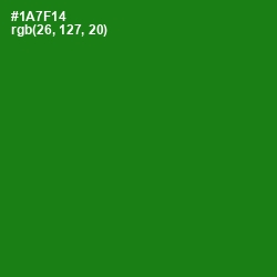 #1A7F14 - Japanese Laurel Color Image