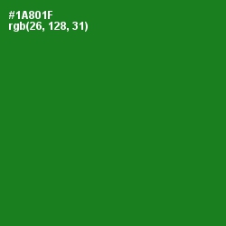 #1A801F - Forest Green Color Image