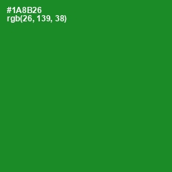 #1A8B26 - Forest Green Color Image