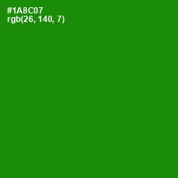 #1A8C07 - Forest Green Color Image