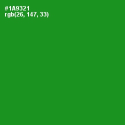 #1A9321 - Forest Green Color Image