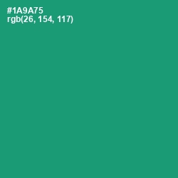 #1A9A75 - Elf Green Color Image