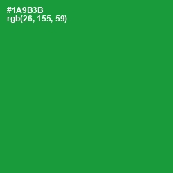 #1A9B3B - Forest Green Color Image