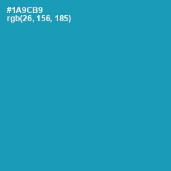 #1A9CB9 - Eastern Blue Color Image