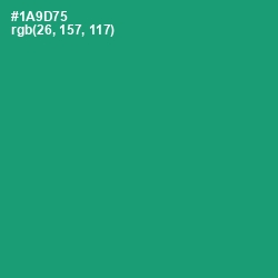 #1A9D75 - Elf Green Color Image