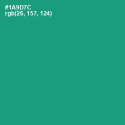 #1A9D7C - Elf Green Color Image