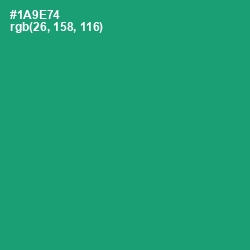 #1A9E74 - Elf Green Color Image