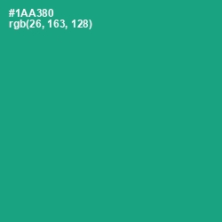 #1AA380 - Mountain Meadow Color Image