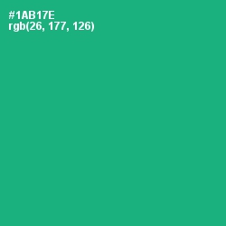 #1AB17E - Jade Color Image