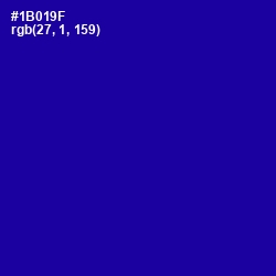 #1B019F - Ultramarine Color Image
