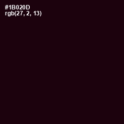 #1B020D - Asphalt Color Image