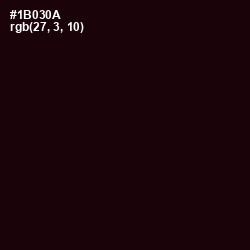 #1B030A - Asphalt Color Image