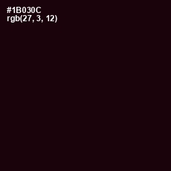 #1B030C - Asphalt Color Image