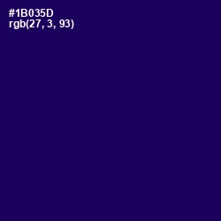 #1B035D - Tolopea Color Image