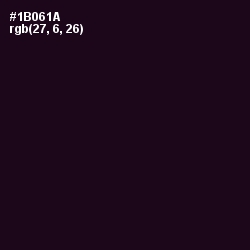 #1B061A - Cinder Color Image