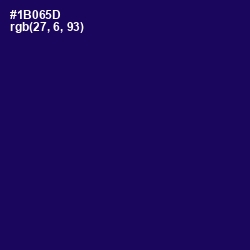 #1B065D - Tolopea Color Image