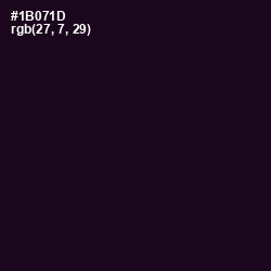 #1B071D - Ebony Color Image