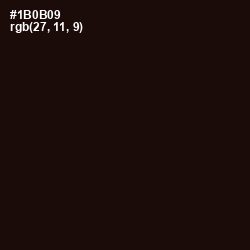#1B0B09 - Creole Color Image