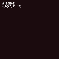 #1B0B0E - Creole Color Image