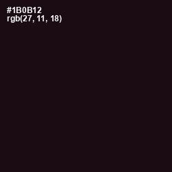 #1B0B12 - Night Rider Color Image