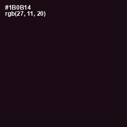 #1B0B14 - Night Rider Color Image