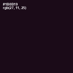 #1B0B19 - Night Rider Color Image