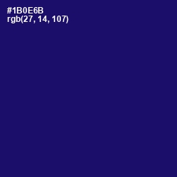 #1B0E6B - Arapawa Color Image