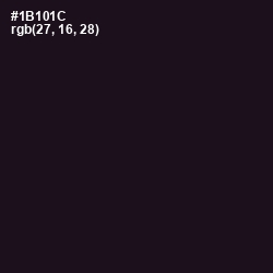 #1B101C - Vulcan Color Image