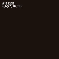 #1B120E - Night Rider Color Image