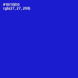 #1B1BD0 - Dark Blue Color Image