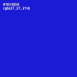 #1B1BD6 - Dark Blue Color Image