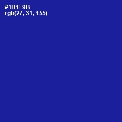 #1B1F9B - Ultramarine Color Image