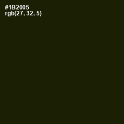 #1B2005 - Deep Forest Green Color Image