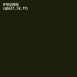 #1B200B - Deep Forest Green Color Image