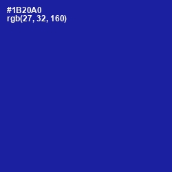 #1B20A0 - International Klein Blue Color Image