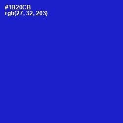 #1B20CB - Dark Blue Color Image