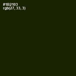 #1B2103 - Deep Forest Green Color Image