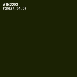 #1B2203 - Deep Forest Green Color Image