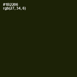 #1B2206 - Deep Forest Green Color Image