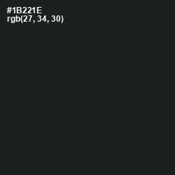 #1B221E - Seaweed Color Image