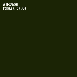 #1B2506 - Deep Forest Green Color Image