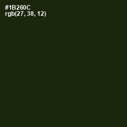 #1B260C - Deep Forest Green Color Image