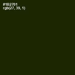 #1B2701 - Deep Forest Green Color Image