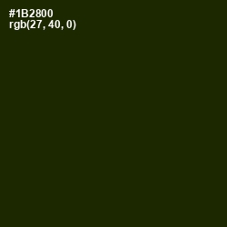 #1B2800 - Deep Forest Green Color Image