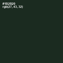 #1B2B20 - Celtic Color Image